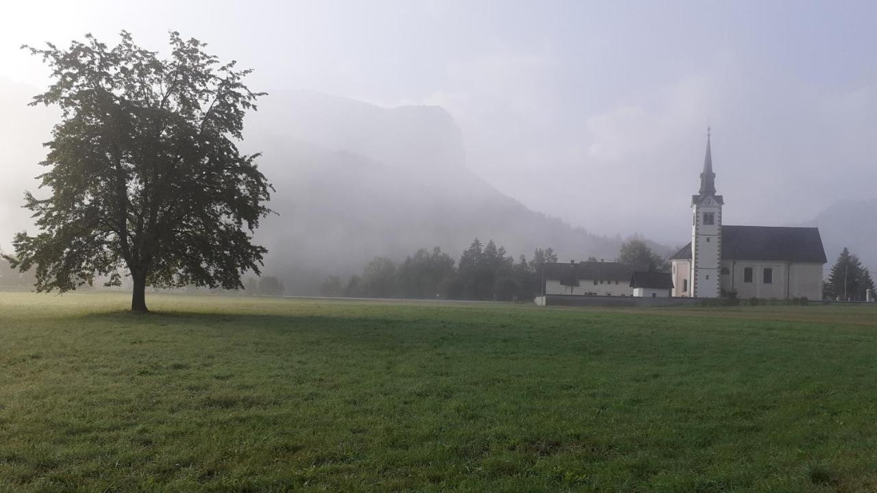 Apartments Under Rock Bohinjska Bela Exterior photo